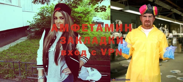 прущие грибы Пересвет