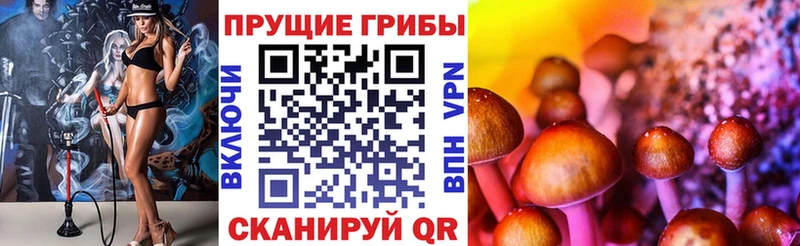 купить  цена  Полесск  Псилоцибиновые грибы Magic Shrooms 